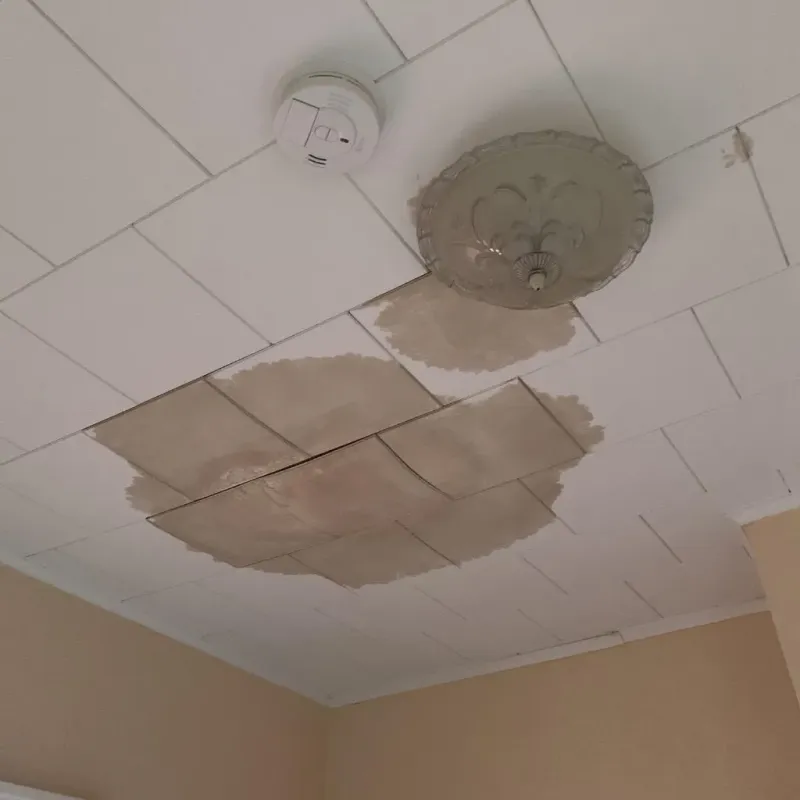 Ceiling Water Damage Repair in Hilton, NY