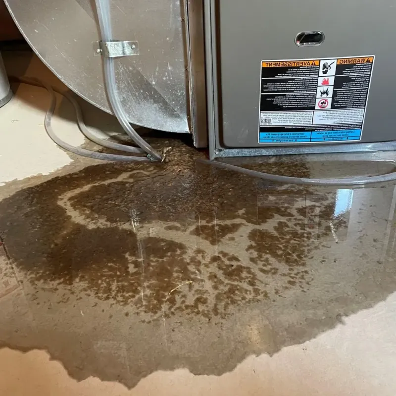 Pipe Burst and Leak Restoration in Hilton, NY