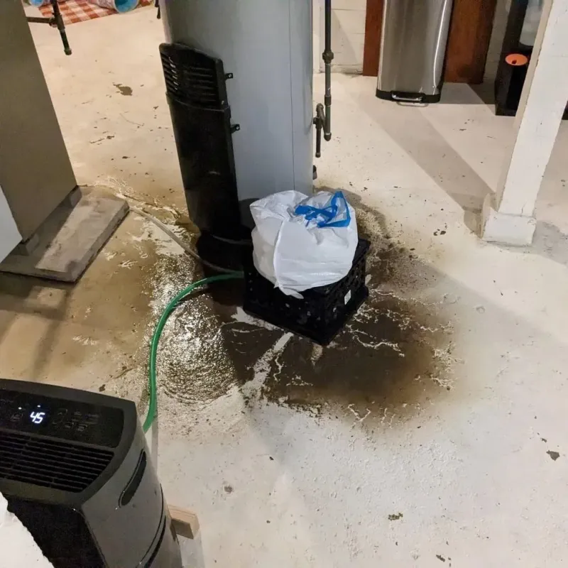Sewage Backup Cleanup Service in Hilton, NY